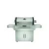 Barbecue Charbon De Bois Pro 605 Inox NAPOLEON -Weber Soldes Boutique barbecue inox pro 605 charbon napoleon