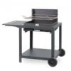 Grilloir + Chariot Vintage Montory Acier Ardoise 61 X 40 -Weber Soldes Boutique grilloir chariot vintage montory acier ardoise 61 x 40