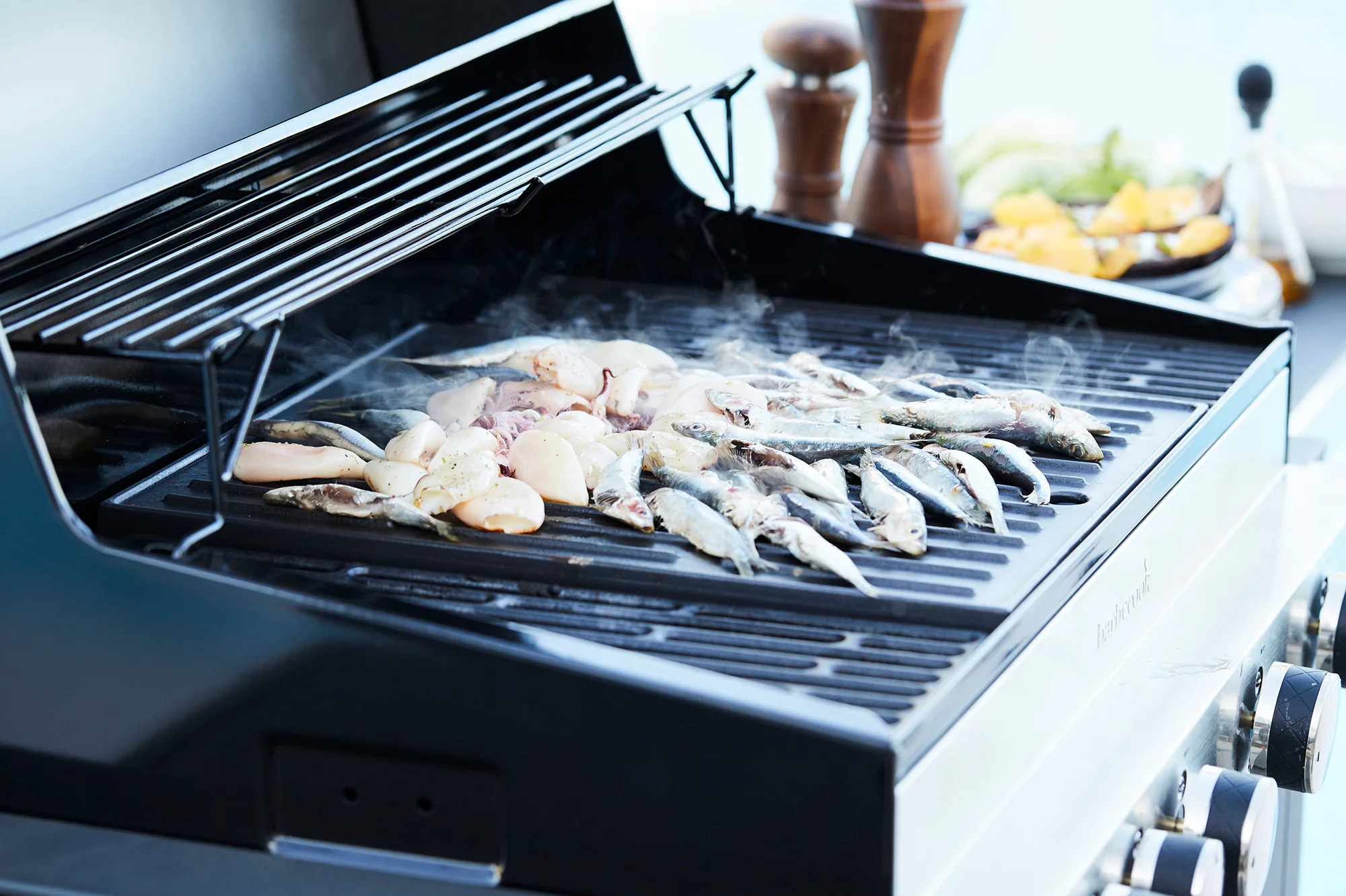 Weber Soldes Boutique -Weber Soldes Boutique BC GAS 2038 SF 17 LR